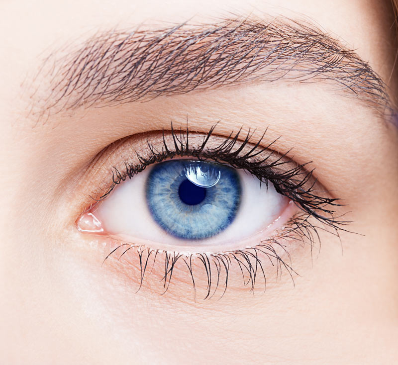 Kontaktlinsen-Service von Ihrem Optiker in Lütgendortmund